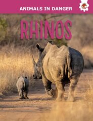 Rhinos: Animals In Danger цена и информация | Книги для подростков  | pigu.lt