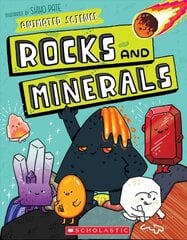 Animated Science: Rocks and Minerals kaina ir informacija | Knygos paaugliams ir jaunimui | pigu.lt