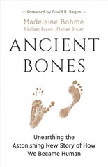 Ancient Bones: Unearthing the Astonishing New Story of How We Became Human kaina ir informacija | Socialinių mokslų knygos | pigu.lt