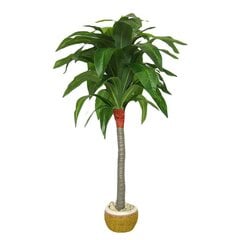 Dirbtinis augalas Dracaena 110cm kaina ir informacija | Dirbtinės gėlės | pigu.lt