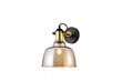 Sieninis šviestuvas MUSCARI, 22 cm, gold 4710 kaina ir informacija | Sieniniai šviestuvai | pigu.lt