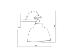 Sieninis šviestuvas MUSCARI, 22 cm, amber 4796 цена и информация | Настенные светильники | pigu.lt