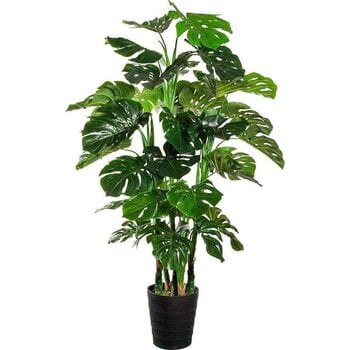 Искусственное растение Монстера, 140см цена и информация | Искусственные цветы | pigu.lt