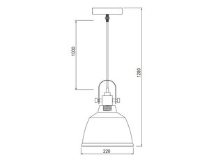 Pakabinamas šviestuvas ZENIT, 22 cm, cream 4871 цена и информация | Подвесной светильник | pigu.lt