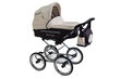 Vežimėlis FANARI CLASSIC Baby Fashion 2in1 kaina ir informacija | Vežimėliai | pigu.lt