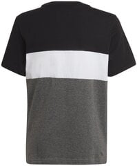 Marškinėliai berniukams Adidas B Cb T Ess Black Grey HA4025, juodi kaina ir informacija | Marškinėliai berniukams | pigu.lt