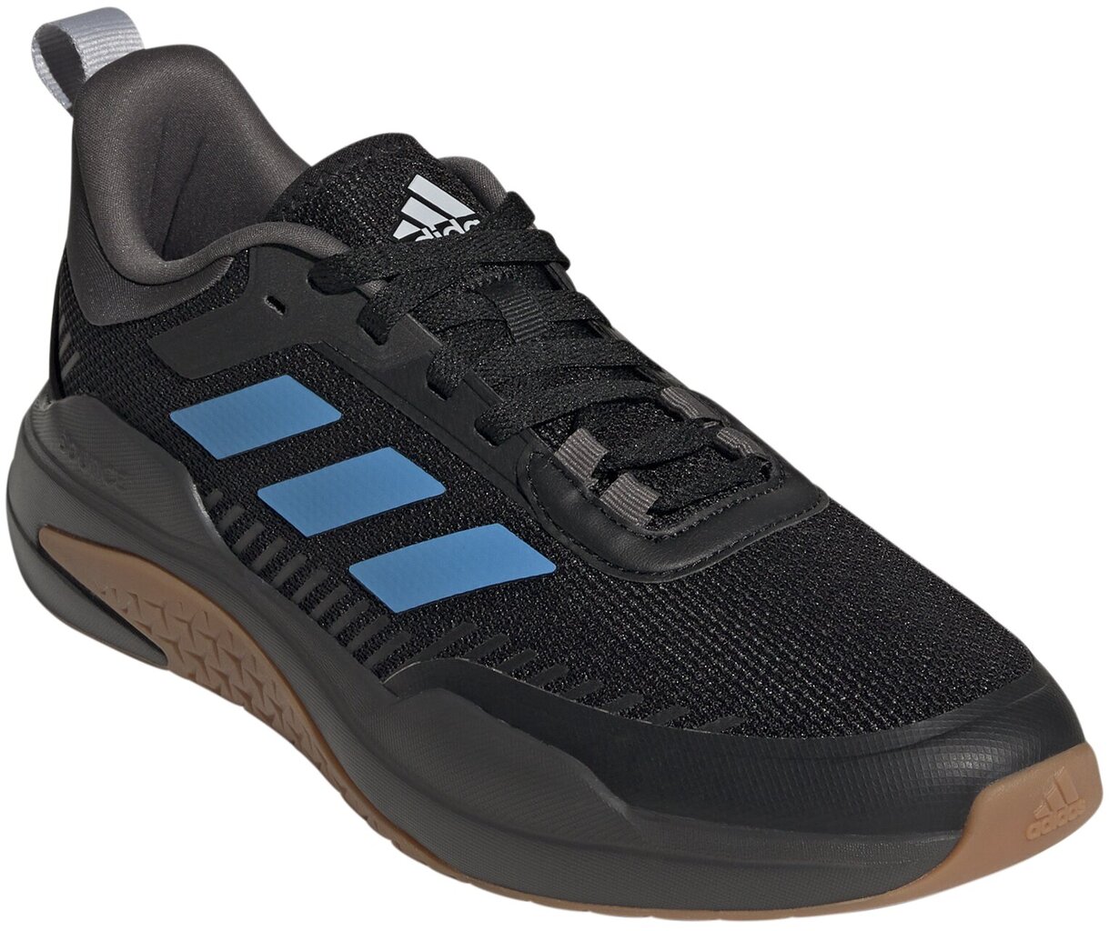 Sportininiai batai vyrams Adidas Trainer V Blue Black GW4056 kaina ir informacija | Kedai vyrams | pigu.lt