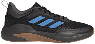 Обувь Adidas Trainer V Blue Black GW4056 GW4056/9.5 цена и информация | Кроссовки для мужчин | pigu.lt
