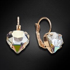 Серьги "Лучия (VItrail Medium)" с кристаллами Swarovski™ DS02A372 цена и информация | Серьги | pigu.lt