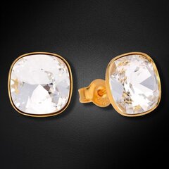 Серебряные серьги "Ослепительный Блеск" с кристаллами Swarovski™ DS02A374 цена и информация | Серьги | pigu.lt