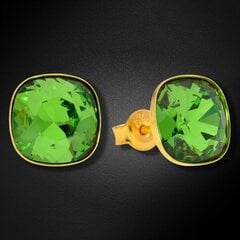 Серебряные серьги "Ослепительный Блеск (Fern Green)" с кристаллами Swarovski™ DS02A377 цена и информация | Серьги | pigu.lt