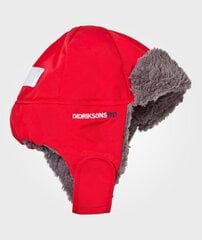 Детская шапка Didriksons Biggles Kids, красная цена и информация | Зимняя одежда для детей | pigu.lt