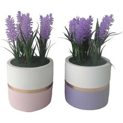 Декоративное растение DKD Home Decor Керамика PE (10,5 x 10,5 x 20 cm) (2 штук) цена и информация | Искусственные цветы | pigu.lt