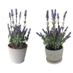 Dekoratyvinis augalas Lelija, 2 vnt. kaina ir informacija | Dirbtinės gėlės | pigu.lt
