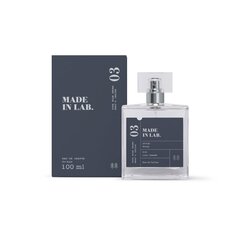 Парфюмированная вода Made in Lab 03 Men EDP для мужчин 100 мл цена и информация | Мужские духи | pigu.lt