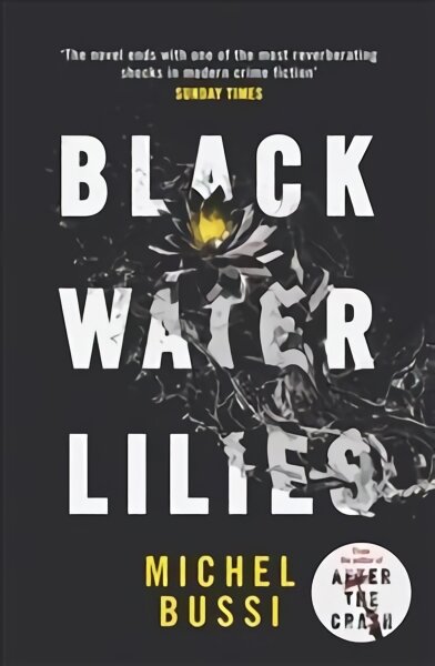 Black Water Lilies: 'A dazzling, unexpected and haunting masterpiece' Daily Mail kaina ir informacija | Fantastinės, mistinės knygos | pigu.lt