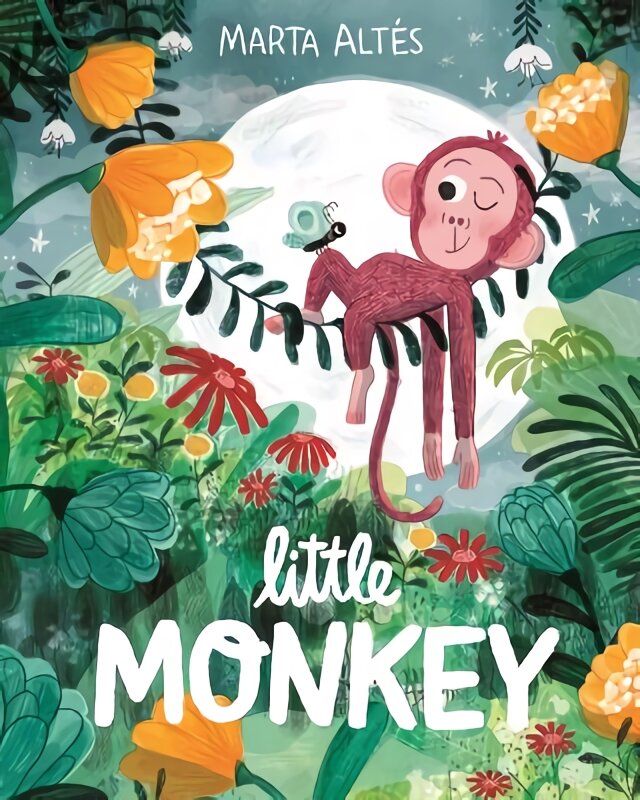 Little Monkey kaina ir informacija | Knygos mažiesiems | pigu.lt