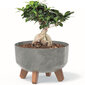 Bonsai gėlių vazonas su kojelėmis Mini Garden, 23,5 cm цена и информация | Vazonai | pigu.lt