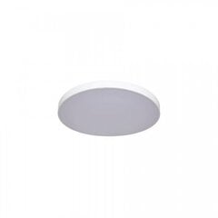 Light Prestige Rapido маленький потолочный светильник, белый, 3000K цена и информация | Потолочные светильники | pigu.lt