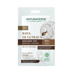 NATURAVERDE BIO увлажняющая маска для лица с сывороткой цена и информация | Маски для лица, патчи для глаз | pigu.lt