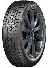 Delinte WD1 205/60R16 96 H цена и информация | Зимняя резина | pigu.lt