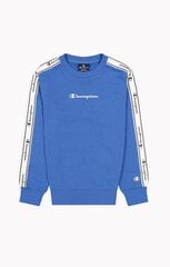 Champion megztinis berniukams 305918, mėlynas kaina ir informacija | Megztiniai, bluzonai, švarkai berniukams | pigu.lt