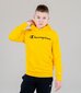 Megztinis berniukams Champion 305903*YS011, geltonas kaina ir informacija | Megztiniai, bluzonai, švarkai berniukams | pigu.lt