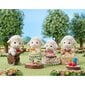 Avyčių šeimynėlė Sylvanian Families цена и информация | Žaislai mergaitėms | pigu.lt