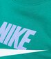 Nike Sportswear Club vaikiški megztiniai CV9297*365, žalias 195871878022 kaina ir informacija | Megztiniai, bluzonai, švarkai berniukams | pigu.lt
