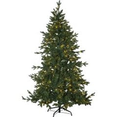 Christmas Tree w LED Larvik 270 608-64 цена и информация | Рождественские украшения | pigu.lt