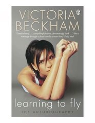 Learning to Fly цена и информация | Книги об искусстве | pigu.lt