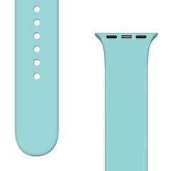 Сменный ремешок для Apple Watch 8/7/6/5/4/3/2/SE (45/44/42 мм) Mint цена и информация | Аксессуары для смарт-часов и браслетов | pigu.lt