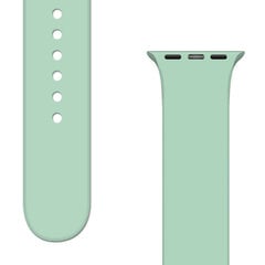 Сменный ремешок для Apple Watch 8/7/6/5/4/3/2/SE (45/44/42 мм) Светло-зеленый цена и информация | Аксессуары для смарт-часов и браслетов | pigu.lt