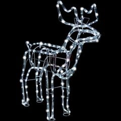 LED šviečiantis elnias SPCDEER05, Šaltai baltos spalvos, M цена и информация | Рождественское украшение CA1031, 10 см | pigu.lt