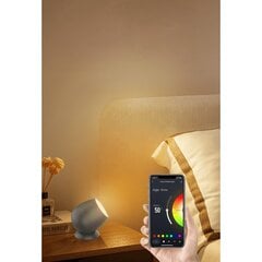 Išmanioji LED lempa - reflektorius, RGB WiFi R5145 WOOX цена и информация | Фонарики, прожекторы | pigu.lt