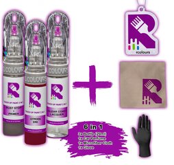 Корректор краски + лак + грунт Citroen C1 Jelly berry ERK цена и информация | Автомобильная краска | pigu.lt
