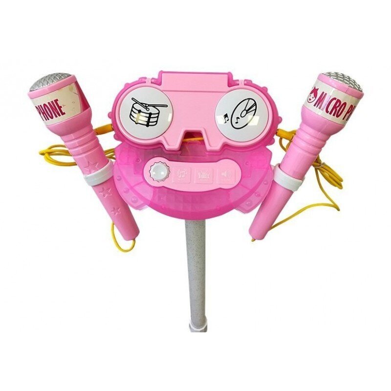 Karaoke rinkinys su mikrofonais, rožinis kaina ir informacija | Lavinamieji žaislai | pigu.lt