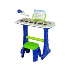 Elektrinis pianinas vaikams, Mėlynas, USB цена и информация | Развивающие игрушки | pigu.lt