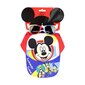 Kepurės ir akinių nuo saulės rinkinys mergaitėms Mickey Mouse, įvairių spalvų цена и информация | Kepurės, pirštinės, šalikai mergaitėms | pigu.lt