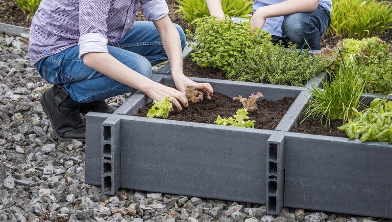 Vegetable Garden Box 120cm x 120cm x 22cm kaina ir informacija | Sodo įrankiai | pigu.lt