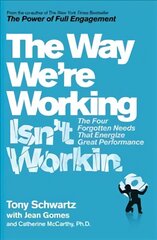 Way We're Working Isn't Working Reissue цена и информация | Книги по экономике | pigu.lt