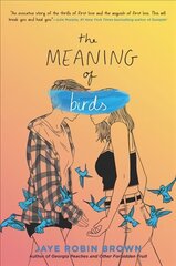 Meaning of Birds цена и информация | Книги для подростков  | pigu.lt