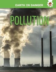 Pollution: Earth In Danger kaina ir informacija | Knygos paaugliams ir jaunimui | pigu.lt