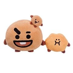 Мягкая игрушка Line Friends Shooky, 17см цена и информация | Мягкие игрушки | pigu.lt