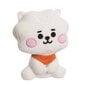 Minkštas žaislas Rj Baby Line Friends BT21 , 12 cm цена и информация | Minkšti (pliušiniai) žaislai | pigu.lt