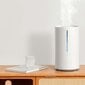 Oro drėkintuvas Xiaomi Smart Humidifier 2, BHR6026EU kaina ir informacija | Oro drėkintuvai | pigu.lt