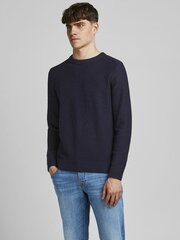 Megztinis vyrams Jack & Jones 12193507, mėlynas цена и информация | Мужской джемпер | pigu.lt