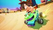 Nickelodeon Kart Racers 3: Slime Speedway цена и информация | Kompiuteriniai žaidimai | pigu.lt