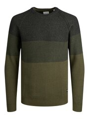 JACK & JONES МУЖСКОЙ ДЖЕМПЕР 12220815*03, оливковый 5715312966153 цена и информация | Мужские свитера | pigu.lt