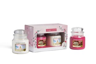 Набор свечей Yankee Candle SNOW GLOBE WONDERLAND цена и информация | Подсвечники, свечи | pigu.lt